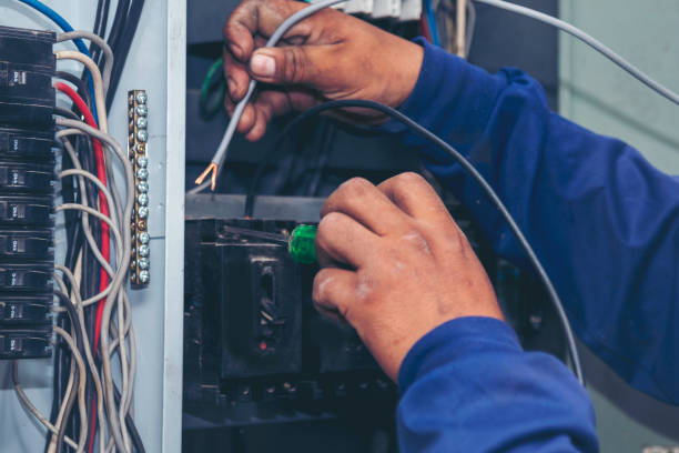Best Generator Installation Services  in Zebulon, GA